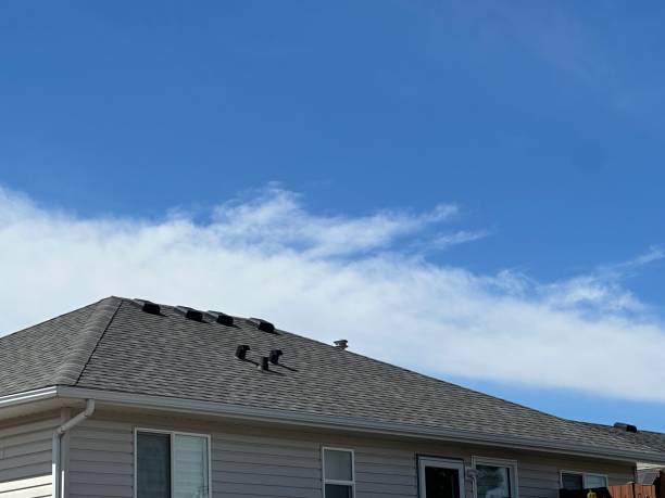 Best Metal Roofing Installation  in Harveys Lake, PA